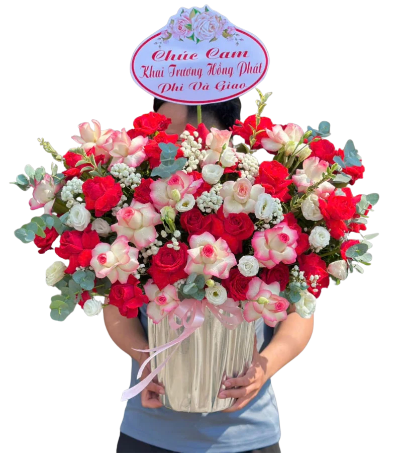 Hộp hồng đỏ phối lan hồng