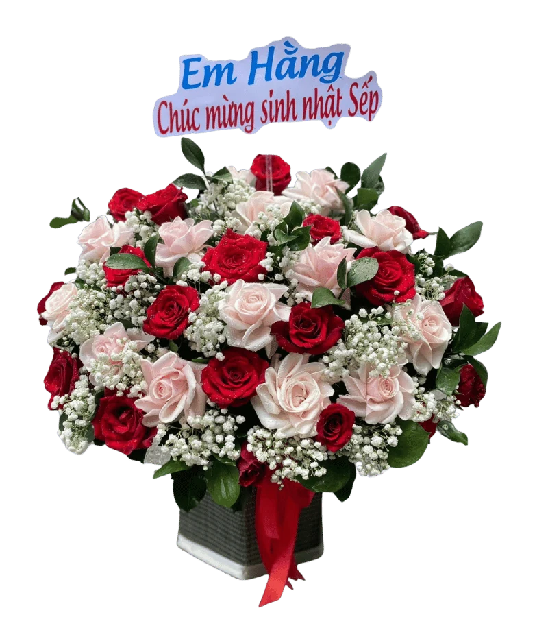 Hộp hoa hồng đỏ và hồng phấn phối baby trắng cùng lá bạc