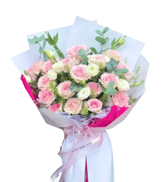 Bó hoa cẩm chướng hồng phối cát tường trắng