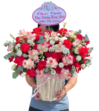 Hộp hồng đỏ phối lan hồng