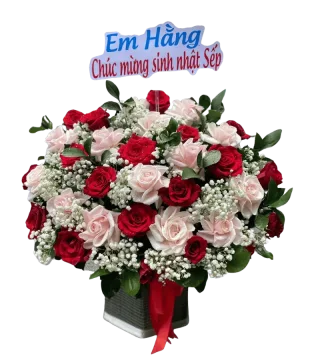 Hộp hoa hồng đỏ và hồng phấn phối baby trắng cùng lá bạc