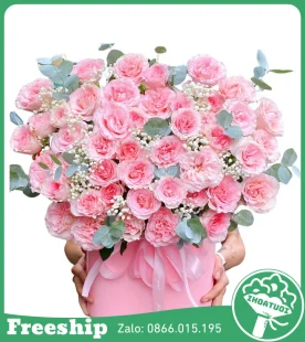 Giỏ Hoa Chúc Mừng Hồng Ngọt Ngào - Mã: DHT-163 - Giá: 750.000đ