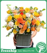 Giỏ Hoa Chúc Mừng Ánh Nắng Vàng