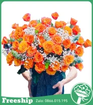 Giỏ Hoa Chúc Mừng Phát Triển Bền Vững