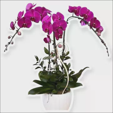 Tiệm Hoa Tươi Tại Xã Lạng Giang Bắc Ninh, Shop Hoa Tươi Uy Tín