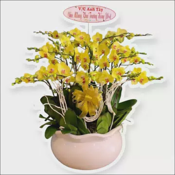 Tiệm Hoa Tươi Tại Ninh Hòa, Shop Hoa Tươi Uy Tín