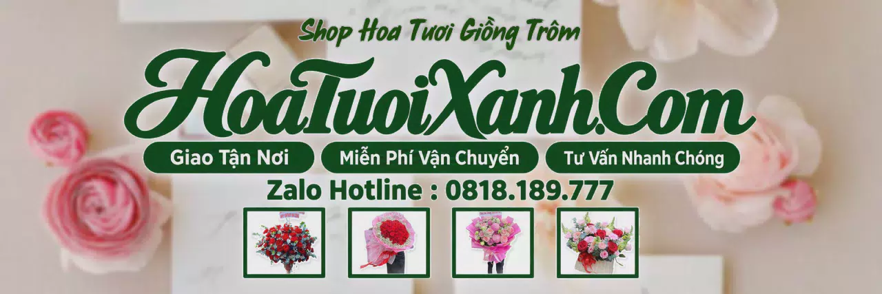 Ảnh bìa Tiệm Hoa Tươi Tại Giồng Trôm, Điện Hoa Tươi Giá Tốt