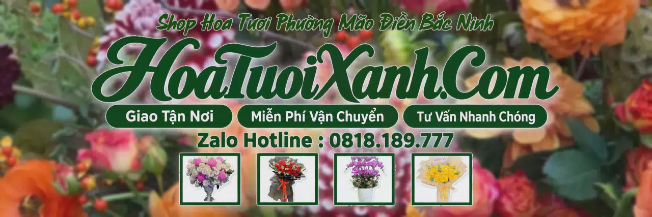 Ảnh bìa Tiệm Hoa Tươi Tại Phường Mão Điền Bắc Ninh, Dịch Vụ Điện Hoa Chuyên Nghiệp