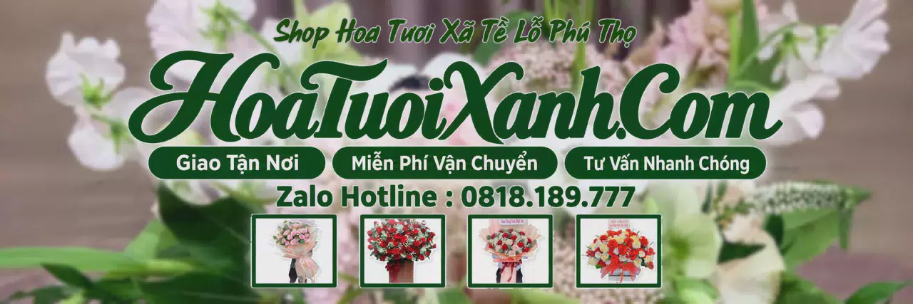 Ảnh bìa Tiệm Hoa Tươi Tại Xã Tề Lỗ Phú Thọ, Shop Hoa Đẹp Giao Tận Nhà