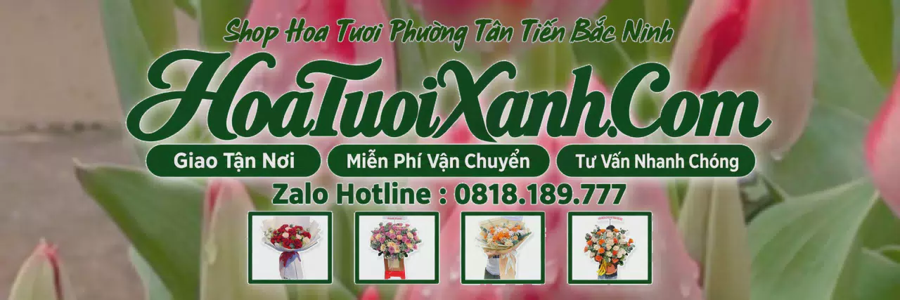 Ảnh bìa Tiệm Hoa Tươi Tại Phường Tân Tiến Bắc Ninh, Tiệm Hoa Đẹp Giá Hợp Lý