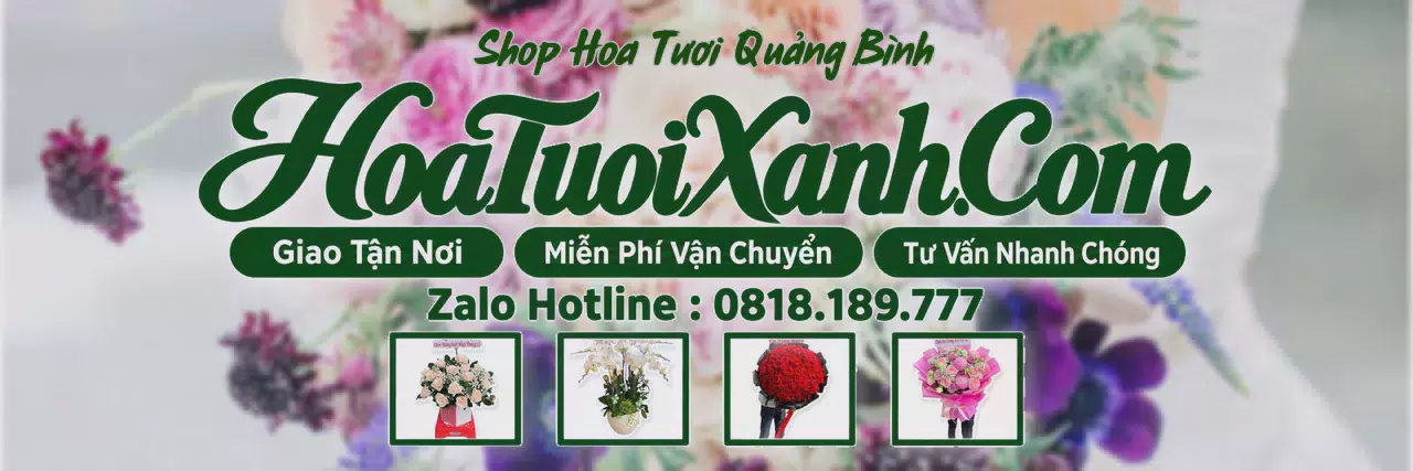 Ảnh bìa Tiệm Hoa Tươi Tại Quảng Bình, Điện Hoa Giao Tận Nơi