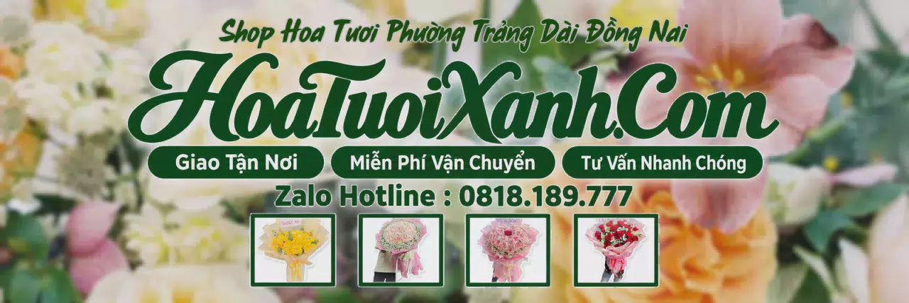 Ảnh bìa Tiệm Hoa Tươi Tại Phường Trảng Dài Đồng Nai, Shop Hoa Tươi Uy Tín