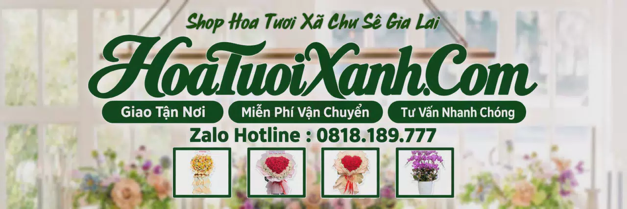 Ảnh bìa Tiệm Hoa Tươi Tại Xã Chư Sê Gia Lai, Đặt Hoa Tươi Theo Yêu Cầu