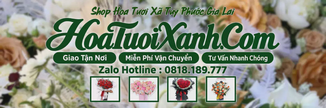 Ảnh bìa Tiệm Hoa Tươi Tại Xã Tuy Phước Gia Lai, Đặt Hoa Đẹp Giá Tốt