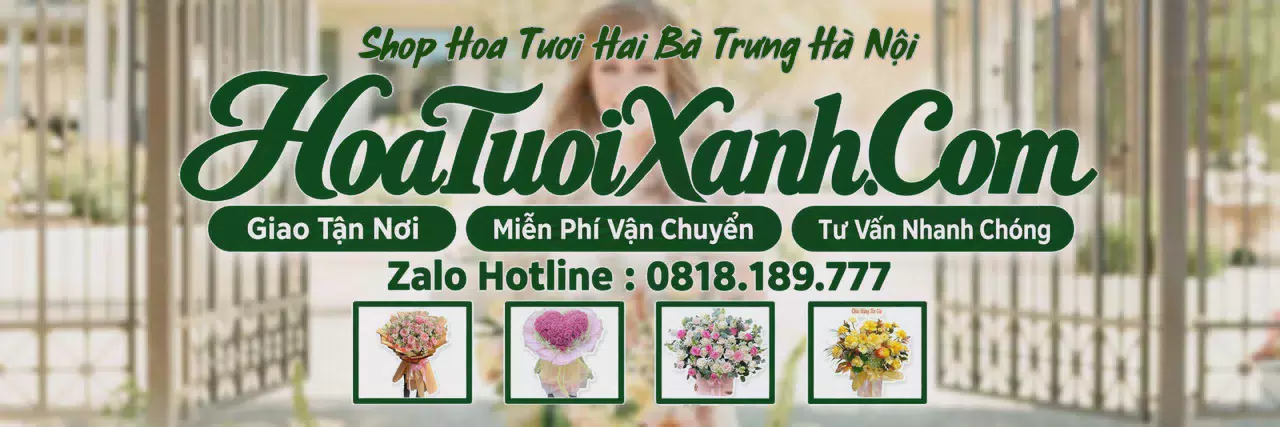 Ảnh bìa Tiệm Hoa Tươi Tại Hai Bà Trưng Hà Nội, Giao Hoa Tươi Trong Ngày