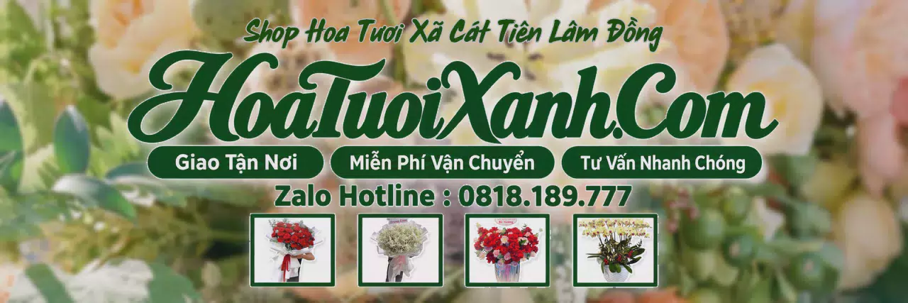Ảnh bìa Tiệm Hoa Tươi Tại Xã Cát Tiên Lâm Đồng, Giao Hoa Tận Nhà Nhanh Chóng