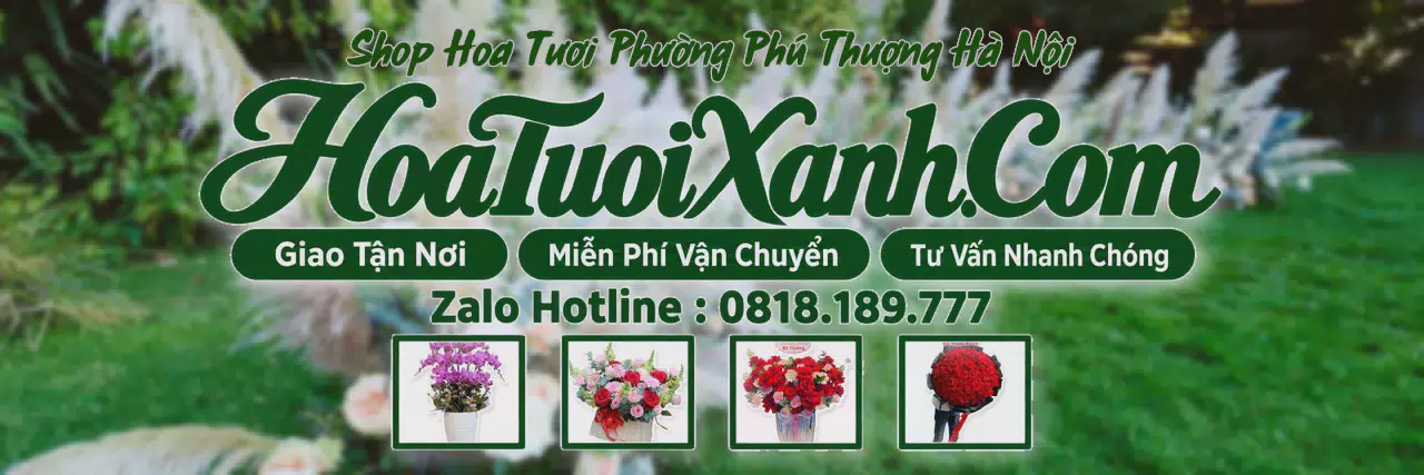 Ảnh bìa Tiệm Hoa Tươi Tại Phường Phú Thượng Hà Nội, Giao Hoa Tận Nơi
