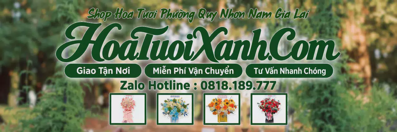 Ảnh bìa Tiệm Hoa Tươi Tại Phường Quy Nhơn Nam Gia Lai, Cửa Hàng Hoa Tươi Uy Tín