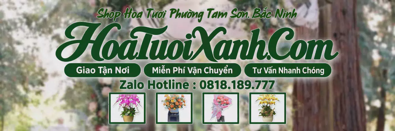 Ảnh bìa Tiệm Hoa Tươi Tại Phường Tam Sơn, Bắc Ninh, Dịch Vụ Điện Hoa Chuyên Nghiệp