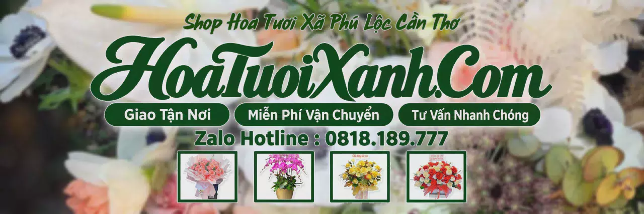 Ảnh bìa Tiệm Hoa Tươi Tại Xã Phú Lộc Cần Thơ, Điện Hoa Tươi Giá Tốt