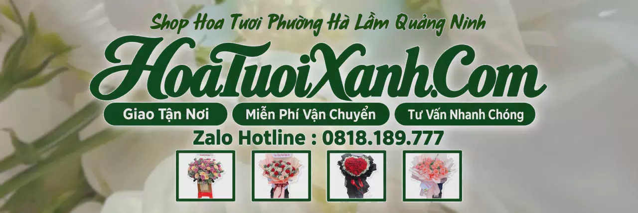 Ảnh bìa Tiệm Hoa Tươi Tại Phường Hà Lầm Quảng Ninh, Shop Hoa Tươi Chất Lượng