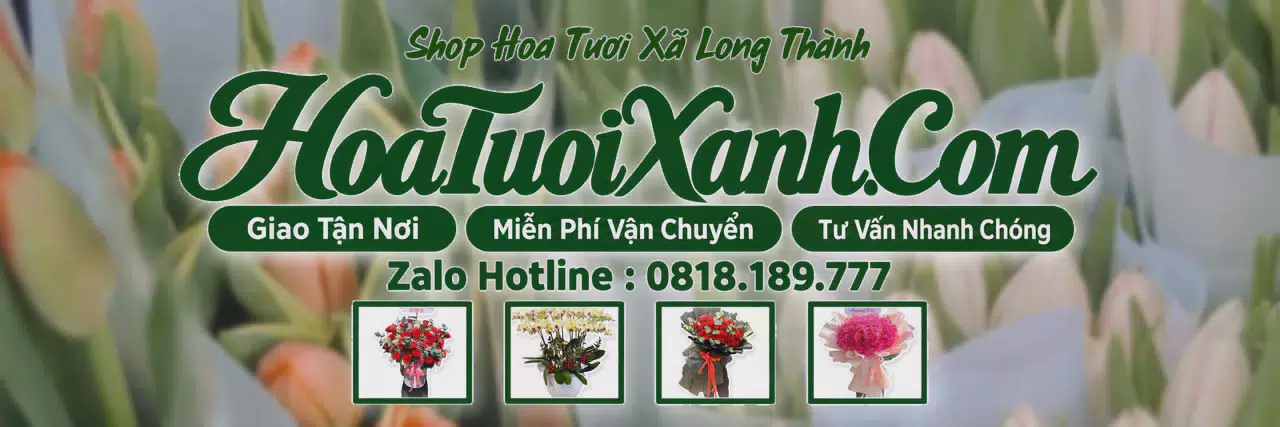 Ảnh bìa Tiệm Hoa Tươi Tại Xã Long Thành, Cửa Hàng Hoa Tươi Giá Tốt