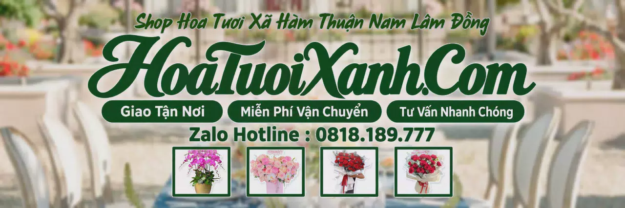 Ảnh bìa Tiệm Hoa Tươi Tại Xã Hàm Thuận Nam Lâm Đồng, Đặt Hoa Tươi Giao Nhanh
