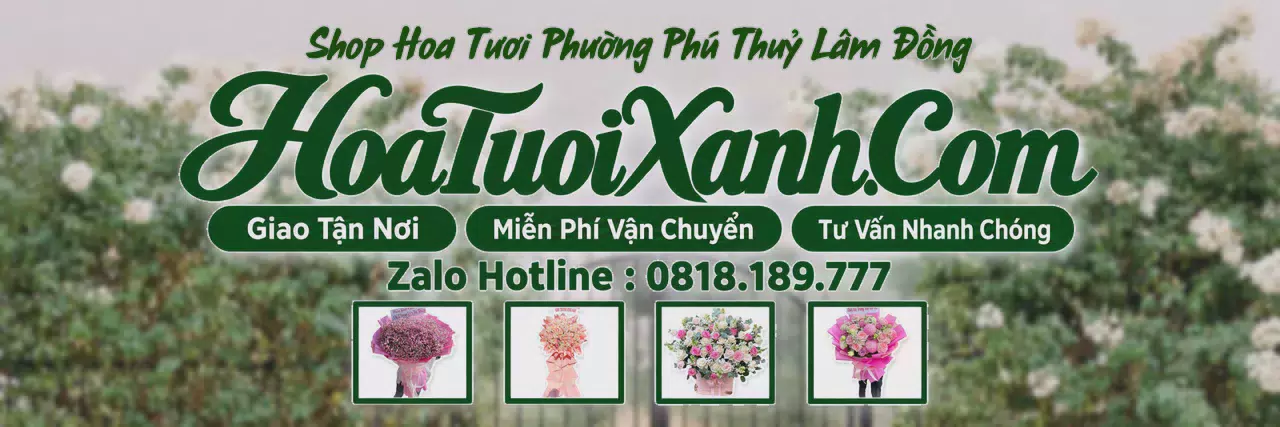 Ảnh bìa Tiệm Hoa Tươi Tại Phường Phú Thuỷ Lâm Đồng, Đặt Hoa Tươi Giao Nhanh