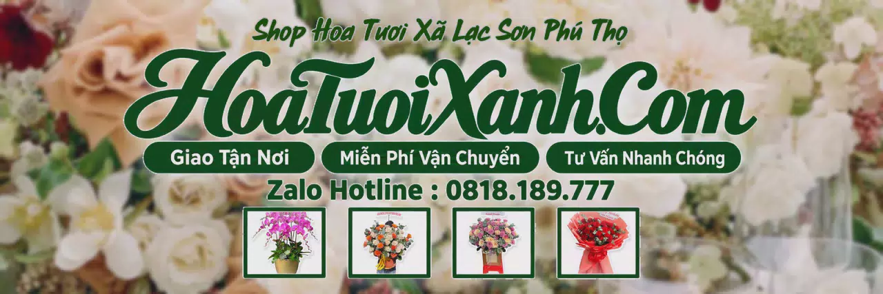 Ảnh bìa Tiệm Hoa Tươi Tại Xã Lạc Sơn Phú Thọ, Điện Hoa Tận Nơi Giá Tốt