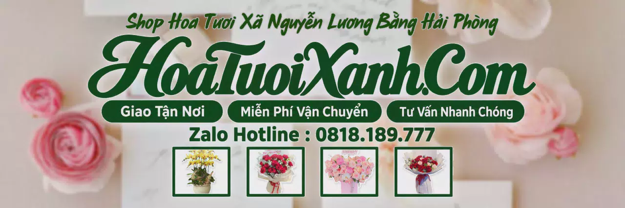 Ảnh bìa Tiệm Hoa Tươi Tại Xã Nguyễn Lương Bằng Hải Phòng, Đặt Hoa Tươi Trực Tuyến