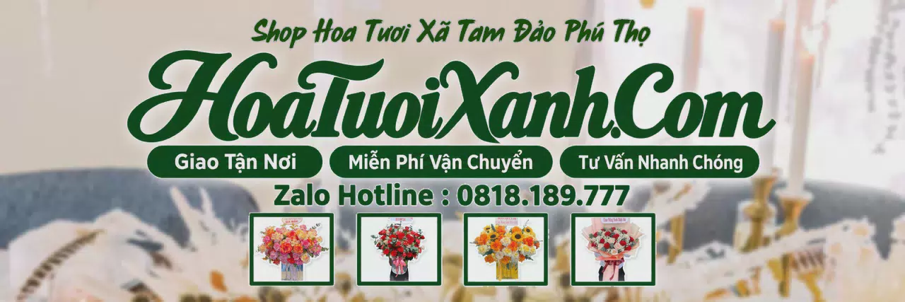 Ảnh bìa Tiệm Hoa Tươi Tại Xã Tam Đảo Phú Thọ, Đặt Hoa Tươi Giao Nhanh