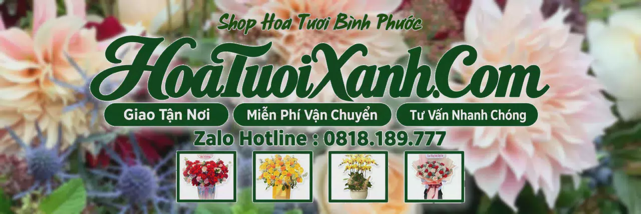 Ảnh bìa Tiệm Hoa Tươi Tại Bình Phước, Giao Hoa Tận Nhà Nhanh Chóng