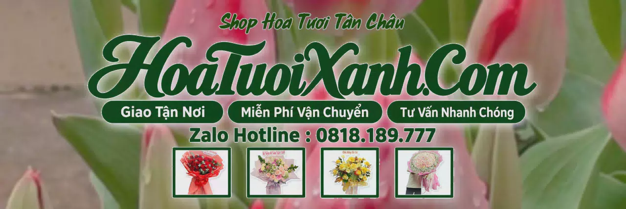 Ảnh bìa Tiệm Hoa Tươi Tại Tân Châu, Đặt Hoa Tươi Theo Yêu Cầu