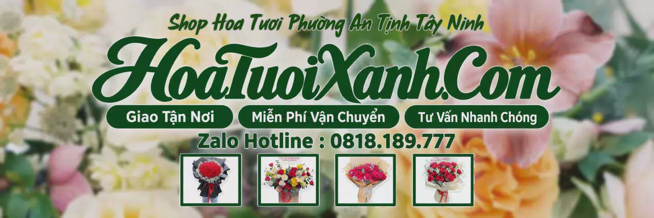 Ảnh bìa Tiệm Hoa Tươi Tại Phường An Tịnh Tây Ninh, Điện Hoa Tươi Giá Tốt