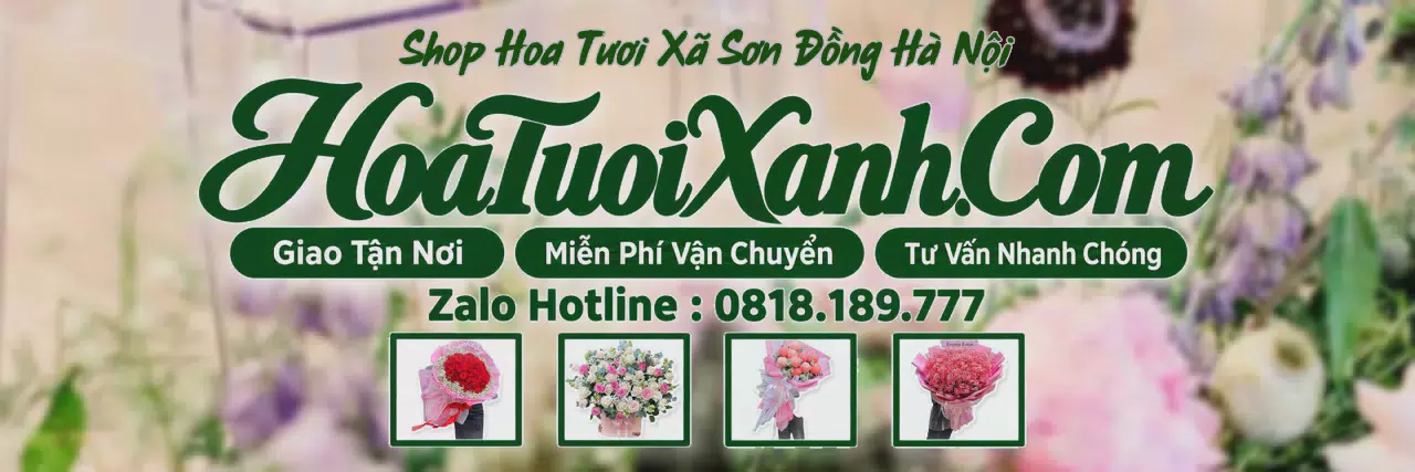 Ảnh bìa Tiệm Hoa Tươi Tại Xã Sơn Đồng Hà Nội, Dịch Vụ Giao Hoa Chuyên Nghiệp
