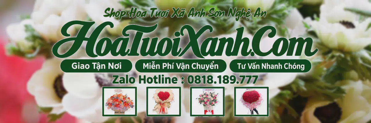 Ảnh bìa Tiệm Hoa Tươi Tại Xã Anh Sơn Nghệ An, Điện Hoa Giao Tận Nơi