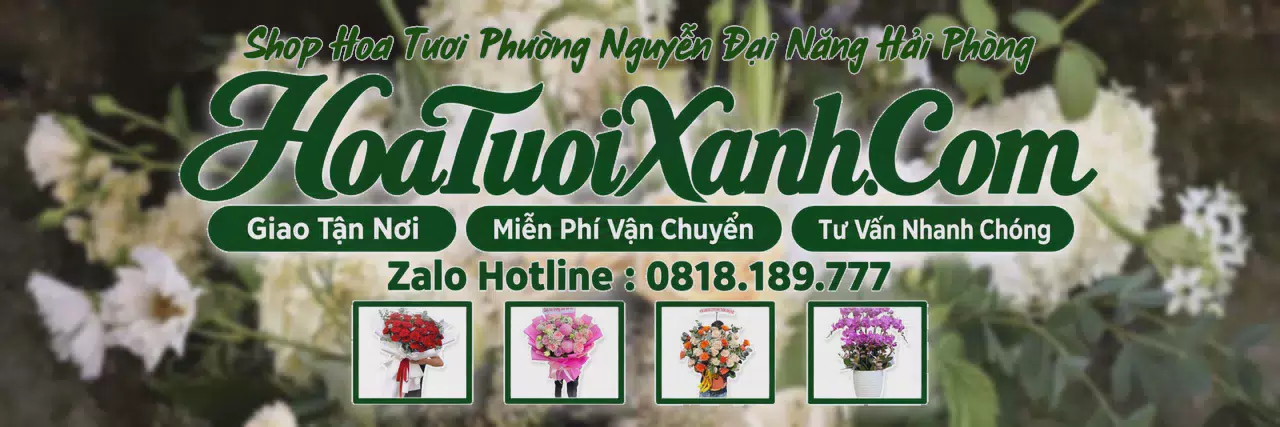 Ảnh bìa Tiệm Hoa Tươi Tại Phường Nguyễn Đại Năng Hải Phòng, Cửa Hàng Hoa Tươi Uy Tín