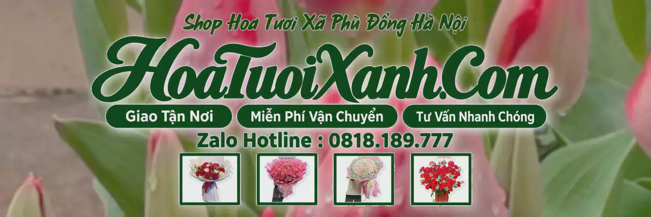 Ảnh bìa Tiệm Hoa Tươi Tại Xã Phù Đổng Hà Nội, Giao Hoa Tươi Trong Ngày