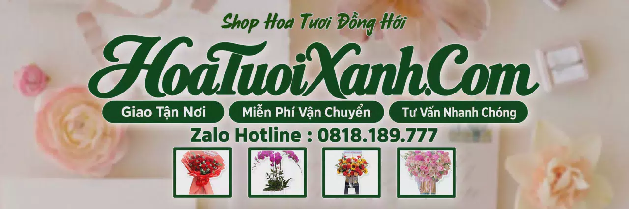 Ảnh bìa Tiệm Hoa Tươi Tại Đồng Hới, Cửa Hàng Hoa Tươi Giá Tốt