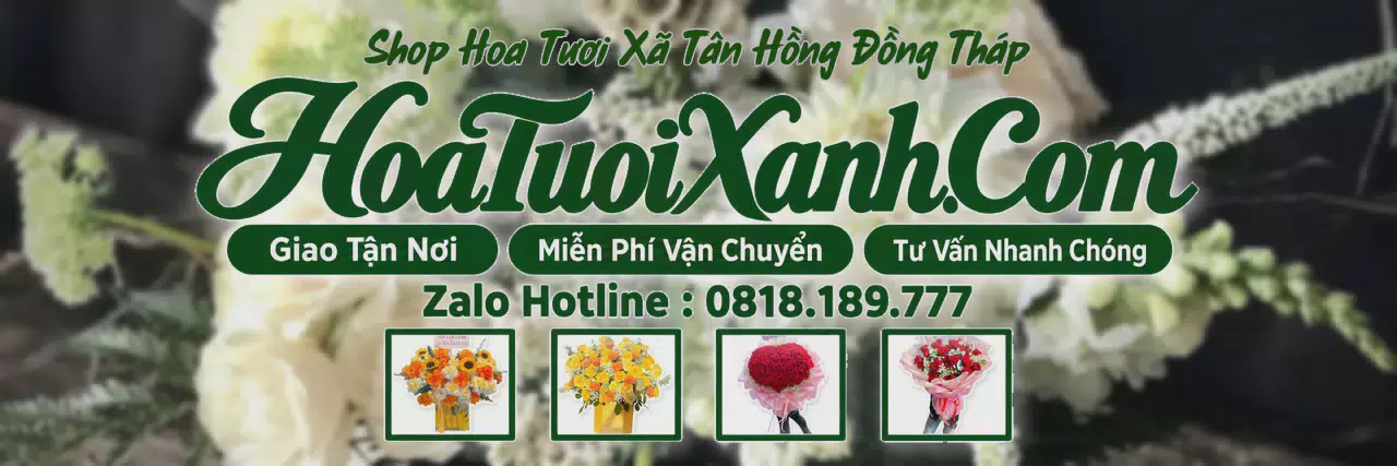Ảnh bìa Tiệm Hoa Tươi Tại Xã Tân Hồng Đồng Tháp, Đặt Hoa Nhanh Giao Đúng Hẹn