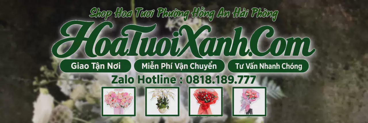 Ảnh bìa Tiệm Hoa Tươi Tại Phường Hồng An Hải Phòng, Đặt Hoa Nhanh Giao Đúng Hẹn