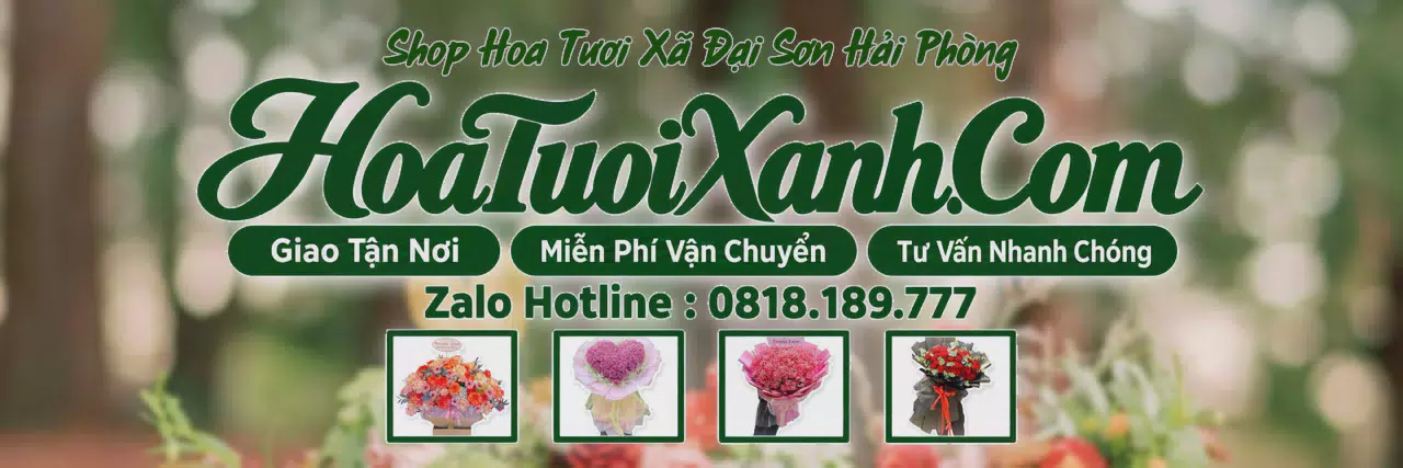 Ảnh bìa Tiệm Hoa Tươi Tại Xã Đại Sơn Hải Phòng, Giao Hoa Tận Nơi