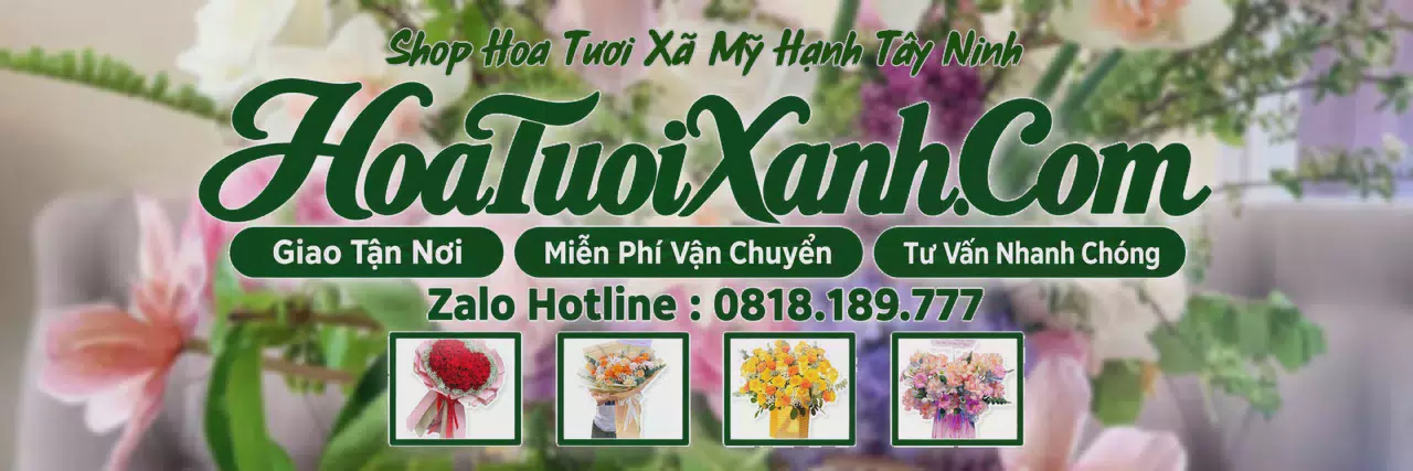 Ảnh bìa Tiệm Hoa Tươi Tại Xã Mỹ Hạnh Tây Ninh, Shop Hoa Tươi Gần Đây