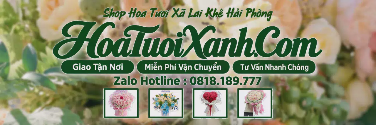 Ảnh bìa Tiệm Hoa Tươi Tại Xã Lai Khê Hải Phòng, Đặt Hoa Tươi Giao Nhanh