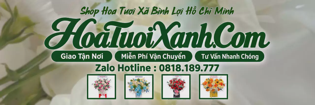 Ảnh bìa Tiệm Hoa Tươi Tại Xã Bình Lợi Hồ Chí Minh, Điện Hoa Tươi Giá Tốt