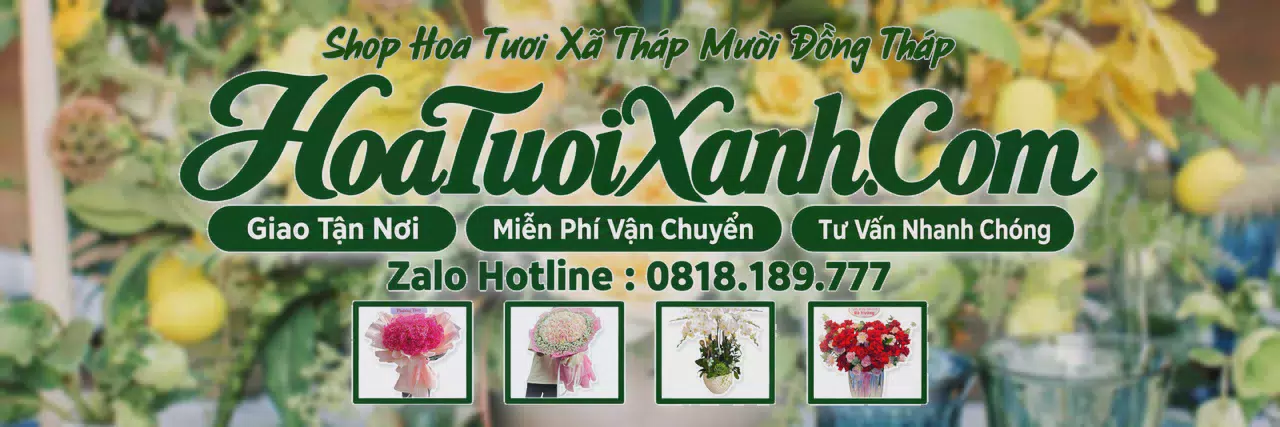 Ảnh bìa Tiệm Hoa Tươi Tại Xã Tháp Mười Đồng Tháp, Dịch Vụ Đặt Hoa Trực Tuyến