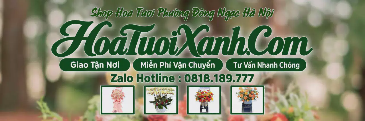 Ảnh bìa Tiệm Hoa Tươi Tại Phường Đông Ngạc Hà Nội, Giao Hoa Tận Nhà Nhanh Chóng