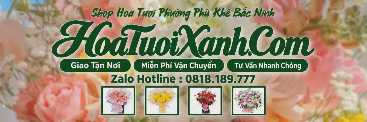 Ảnh bìa Tiệm Hoa Tươi Tại Phường Phù Khê Bắc Ninh, Tiệm Hoa Đẹp Giá Hợp Lý