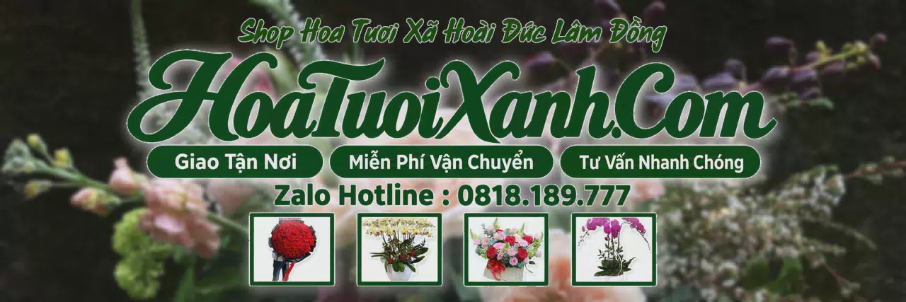 Ảnh bìa Tiệm Hoa Tươi Tại Xã Hoài Đức Lâm Đồng, Đặt Hoa Tươi Giao Nhanh