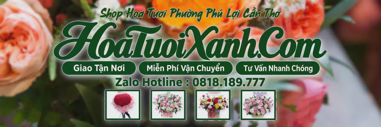 Ảnh bìa Tiệm Hoa Tươi Tại Phường Phú Lợi Cần Thơ, Đặt Hoa Tươi Trực Tuyến